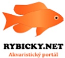 rybicky_net.jpg
